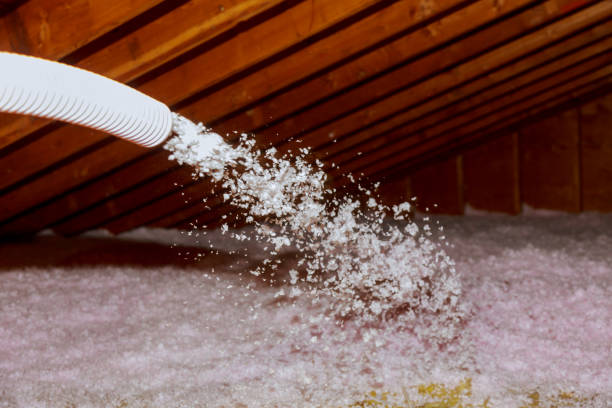 Best Specialized Insulation Services in Rushvle, IL