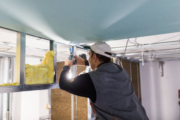 Best Spray Foam Insulation in Rushvle, IL
