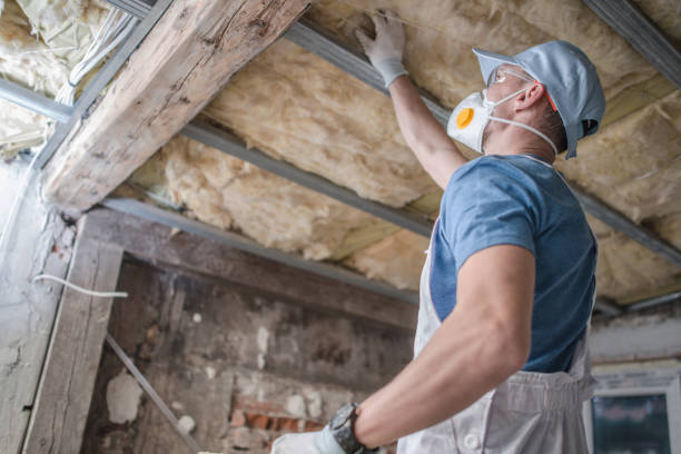 Best Cellulose Insulation in Rushvle, IL