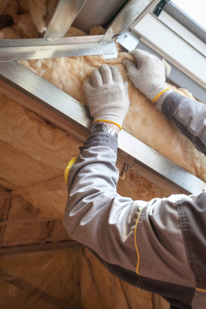 Best Eco-Friendly Insulation in Rushvle, IL