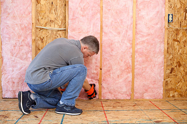 Best Commercial Insulation in Rushvle, IL