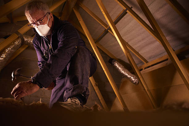 Best Cellulose Insulation in Rushvle, IL
